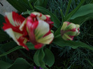 DSC02734