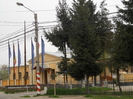 IJPF