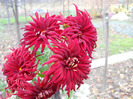 DSCN0274