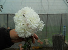 DSCN0275