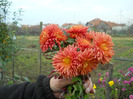 DSCN0278
