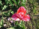 DSC00840