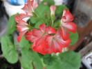 8-9 apr 2011 010