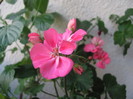 8-9 apr 2011 012