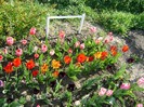 DSC00906