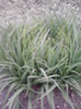 P300411_20.08_[02]