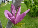 P1330611
