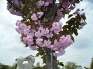 P1330624