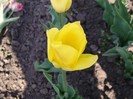 DSC00929