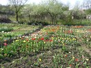 DSC00948