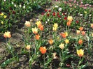 DSC00967