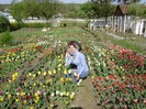 DSC00992