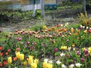 DSC01011