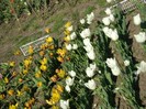 DSC01036