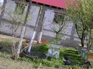 DSC01037