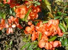 DSC01057
