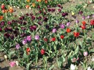 DSC01060
