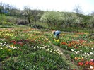DSC01064