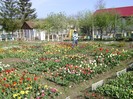 DSC01088