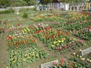DSC01089