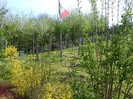 DSC01093