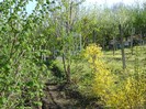 DSC01095