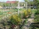 DSC01096