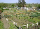 DSC01101