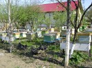 DSC01103