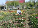 DSC01134