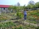 DSC01143