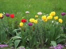 DSCN5133