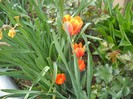 DSCN5138