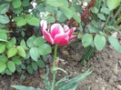 DSCN5142