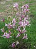 DSCN5143
