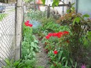 DSCN5120