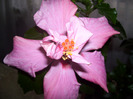 Picture 027