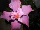 Picture 030
