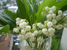 P1080016