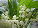 P1080018