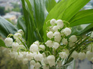 P1080019