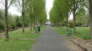 IN PARC PE ALEE.