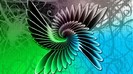 fly1
