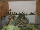 DSCN8953