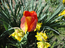DSC01751