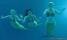 mermaid-