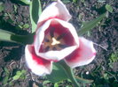 29042011(004)