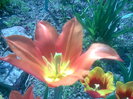 29042011(012)