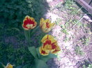 30042011(028)