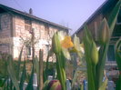 27042011(003)
